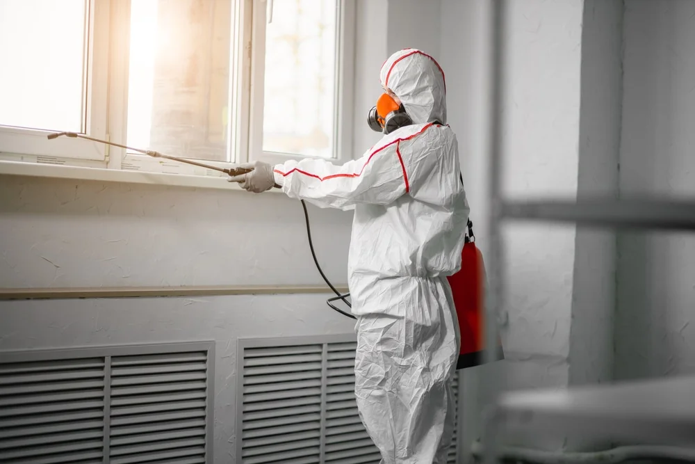 Professional mold remediation services in Fair Lawn, NJ